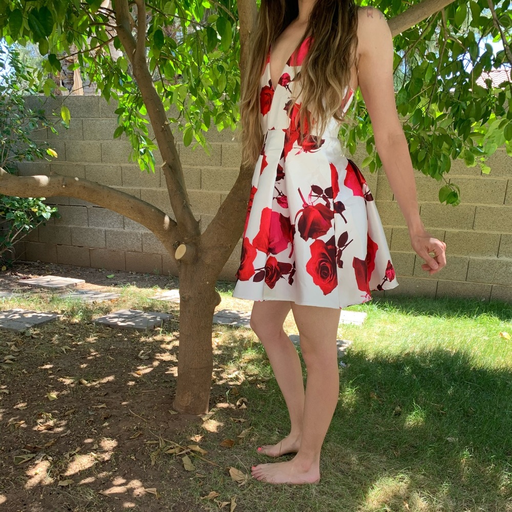 Windsor White and Red floral dress